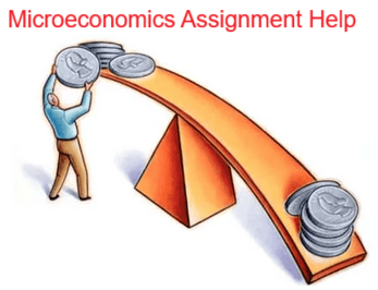 Microeconomics Assignment Help
