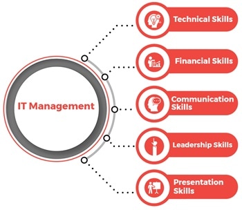 IT Management Assignment Help