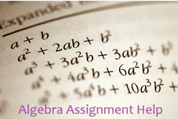 Algebra Assignment Help